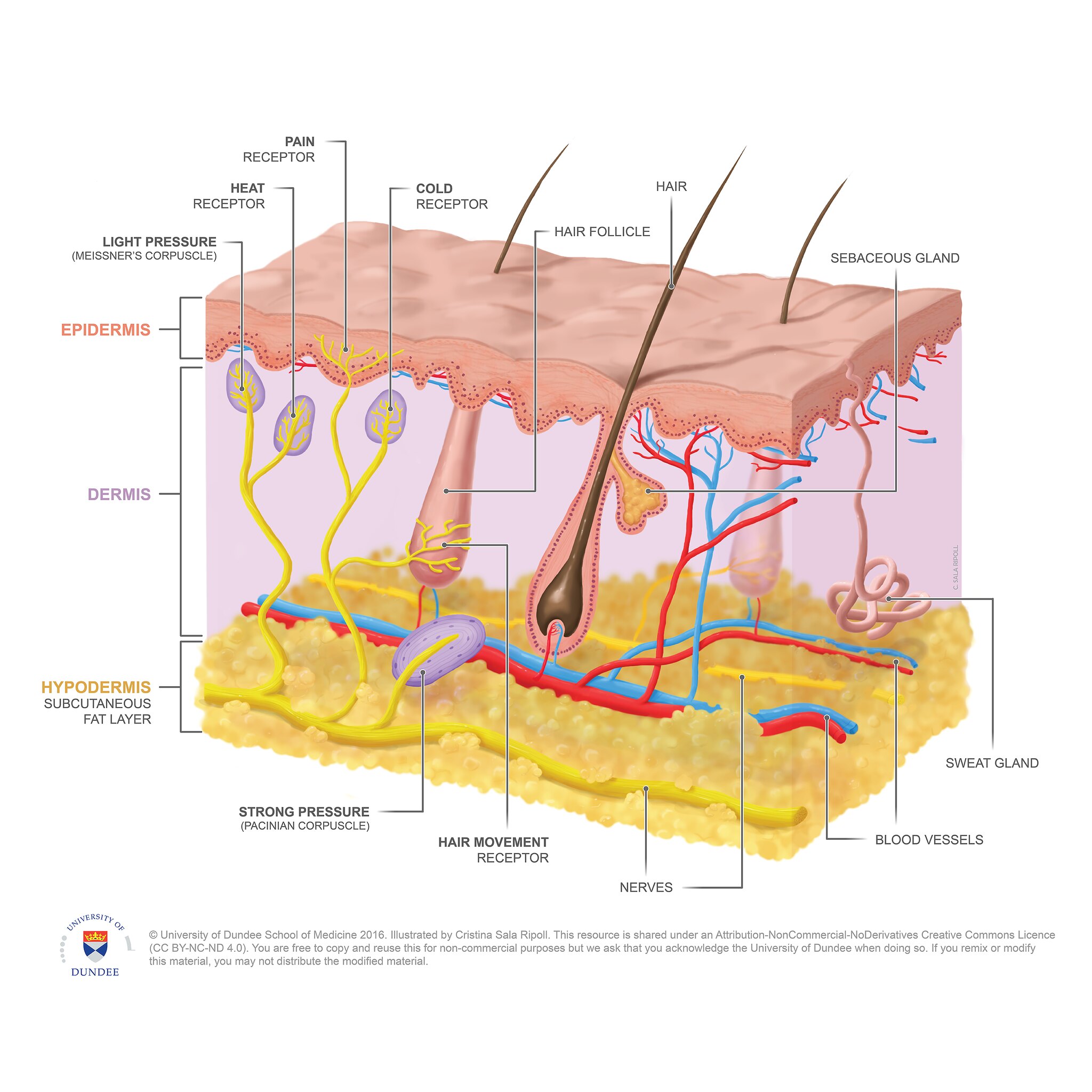 29923768703 b7a0349afa k1