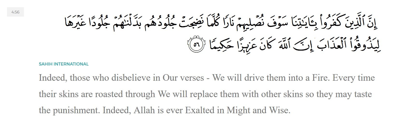 Quran about Skin